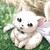 :iconnyonoshii: