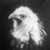 :iconnyprehistory: