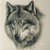 :iconnyra490: