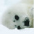:iconnyrien: