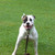 :iconnyst8one: