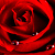 :iconnyx0: