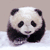 :iconnyx613: