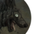 :icono0mossstar0o: