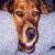 :icono0Sonny0o: