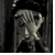 :icono0xxpaperflowersxx0o:
