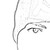 :icono8oahmedo8o: