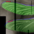 :icono-DragonFly-o: