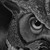 :icono-faolain: