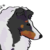 :iconoaklandkennels: