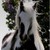 oaktreeart :iconoaktreeart: