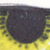:iconoat0544: