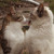 :iconobelisk91: