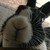 :iconobese-butterfly: