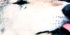 :iconoblivion-drawing: