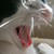 :iconobnoxious-but-cute: