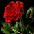 :iconobrien902: