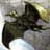 :iconobsane: