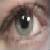 ObscuraWood :iconobscurawood: