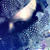 :iconobscuriastudio: