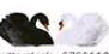 group avatar