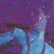 :iconobservatorio: