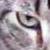 :iconobsessedwithyanni: