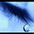 :iconobsessiveangel: