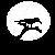 :iconObsidenRaven:
