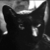 :iconobsidian-feline: