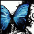 :iconobsidian-inka: