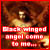 :iconobsidian-rayne: