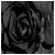 :iconobsidianice:
