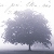 ObstructionofQuiet :iconobstructionofquiet: