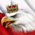 :iconobywatel-gc:
