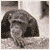 occasional :iconoccasional: