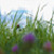 :iconocdphotographic: