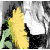 :iconocean-mermaid:
