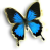 :iconocean-sea:
