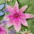 :iconoceancastle: