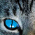 :iconoceanfur: