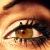 :iconoceangiant: