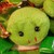 :iconoceangyre: