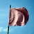 :iconoceanox: