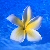 :iconoceanwithin: