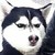 :iconOcksFusionReaction: