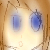 OCMegasplz :iconocmegasplz: