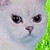 :iconocruzeirodosul: