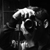 :iconoctaphoto: