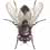 octoberflies :iconoctoberflies: